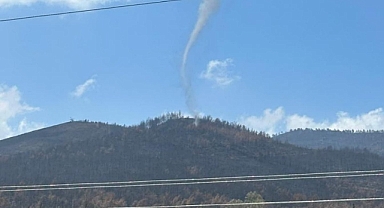 Ormanlık Alanda Mini Hortum Şaşkınlığı