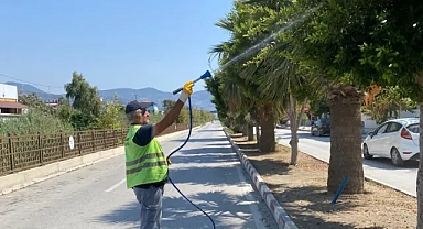 Samandağ Belediyesi’nden Park ve Yeşil Alan Çalışmaları