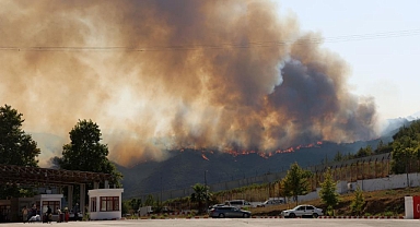Sınırdaki Yangın Türkiye’ye Sıçradı