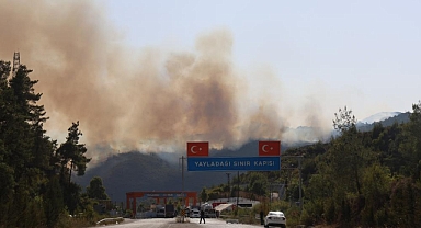 Sınırın Sıfır Noktasında Orman Yangını