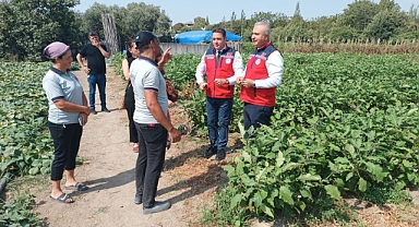 Türkmen, Defne'de Üreticileri Ziyaret Etti