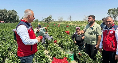 Türkmen’den Biber Hasadı Yapan Üreticilere Ziyaret