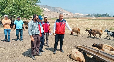 Türkmen, Küçükbaş Hayvan Üreticilerini Ziyaret Etti