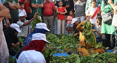 Tütünleri Dizmek İçin Kıyasıya Yarıştılar