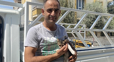 Yavru Kedi Vatandaşın Dikkatiyle Kurtarıldı