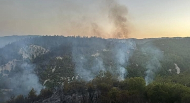 Yayladağı Yangınında Soğutma Çalışmaları Devam ediyor