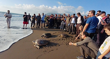 4 Caretta Caretta Denizle Buluştu