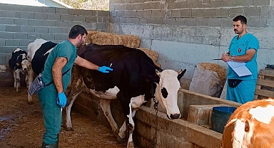 Amaç, Sağlıklı Hayvan Varlığı ve Güvenli Üretim