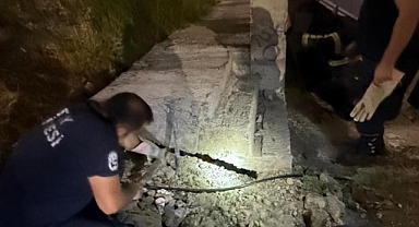 Antakya’da Beton Boru İçinde Sıkışan Kedi Kurtarıldı