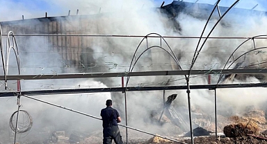 Antakya’da Samanlık Yangını Korkuttu