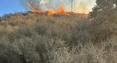 Arazide Çıkan Yangın Büyümeden Söndürüldü