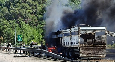 Büyükbaş hayvan yüklü tırda yangın çıktı
