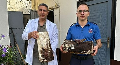 Cezaevinde mantar üretimine başladılar