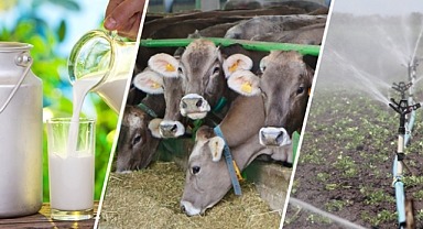 Çiftçilere 4,5 Milyar Liralık Destekleme Ödemesi