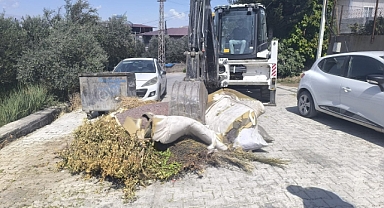 Defne’de Temizlik ve Hijyen Seferberliği