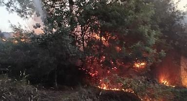 Dörtyol'da Çıkan Orman Yangını Söndürüldü