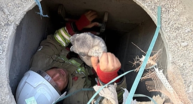 Gider Borusuna Düşen Köpek Yavrusu Kurtarıldı