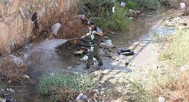 Haşereyle Mücadele Ediyor