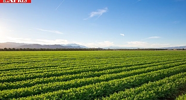 Hatay’da Çiftçilerin Yüzünü Güldüren Büyük Ödeme!