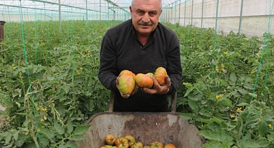 HATAY’DA DOĞRUDAN SATIŞ DÖNEMİ