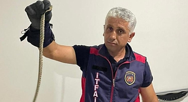 Hatay’da eve giren yılanları itfaiye yakaladı