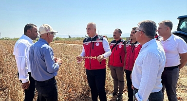 Hatay’da Soya Tarımına İlgi Artıyor