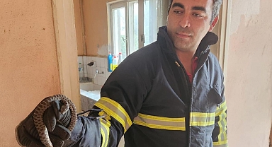 Hatay’da Yerleşim Yerlerine Giren Yılanlar Doğaya Salındı