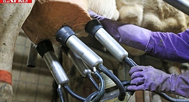 Hataylı Çiftçilere Büyük Destek!