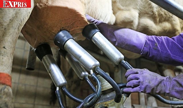 Hataylı Çiftçilere Büyük Destek!