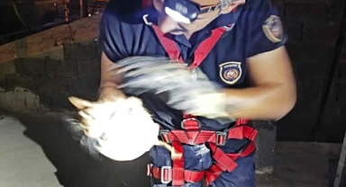 Havalandırma Boşluğuna Düşen Kedi Kurtarıldı