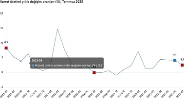 Hizmet Üretim Endeksi Temmuz’da Yıllık %2,5 Arttı