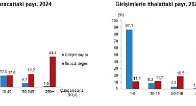 İhracatın %44,4’ünü, İthalatın İse %58,7’sini Büyük Ölçekli Girişimler Yaptı