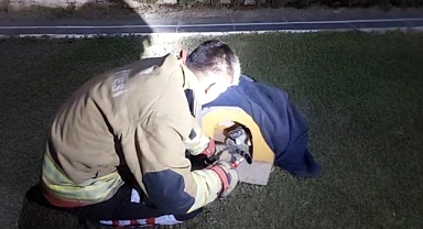 Kedinin İmdadına İtfaiye Yetişti