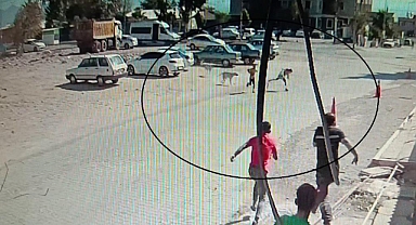 Köpeklerden Kaçan Çocukların Yardımına Vatandaşlar Yetişti