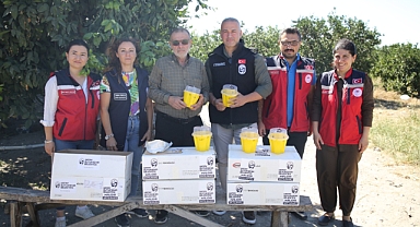 Narenciye Üreticilerine Sinek Tuzağı Dağıtıldı