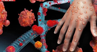 Ölümcül Virüs 16 Vilayete Yayıldı: Halk Panik İçinde