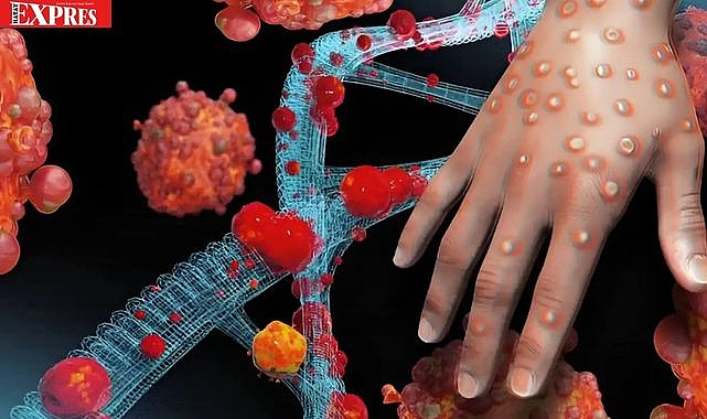 Ölümcül Virüs 16 Vilayete Yayıldı: Halk Panik İçinde