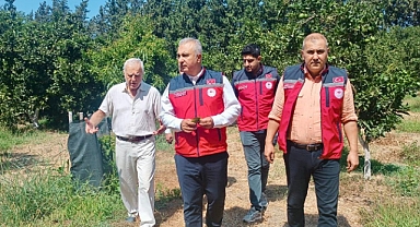 Organik Tarımın Sürdürülebilirliğe Katkısı