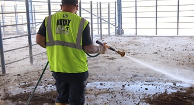 Şap Ve Üç Gün Hastalığına Karşı Tedbirler Arttırıldı