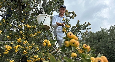 ŞİFA DEPOSU