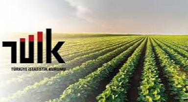 Tarımsal Girdi Fiyat Endeksi Yıllık %34,22 Arttı