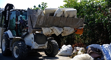 Temiz Defne, Sağlıklı Gelecek