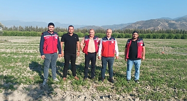 Türkmen, Arsuz’daki Maydanoz Üretim Alanlarını İnceledi