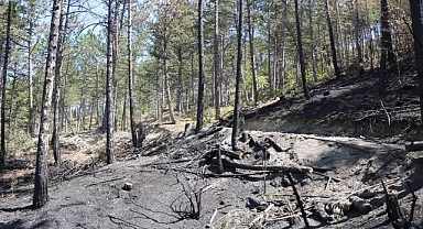 YANGIN DENİZİ TEHDİT EDİYOR