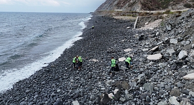 Yeşil Deniz Kaplumbağalarına Özel Çalışma