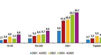 2025’te Yapay Zeka Kullanımı: Girişimlerde ve Bireylerde Artış