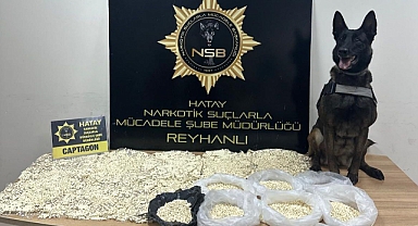 60 Bin Captagon Ele Geçirildi