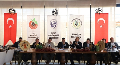 ALTINÖZÜ'NDE FESTİVAL HEYECANI YAŞANACAK