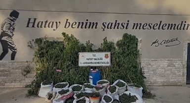 Antakya’da Jandarmadan Uyuşturucu Operasyonu