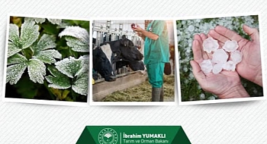 Bakan Yumaklı: Üreticimizin Emeğini Koruyoruz